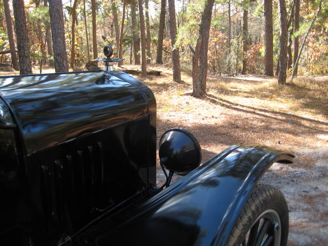 pinebarrens14