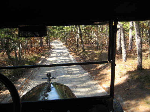 pinebarrens18